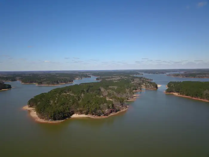 PINEY GROVE photo 4