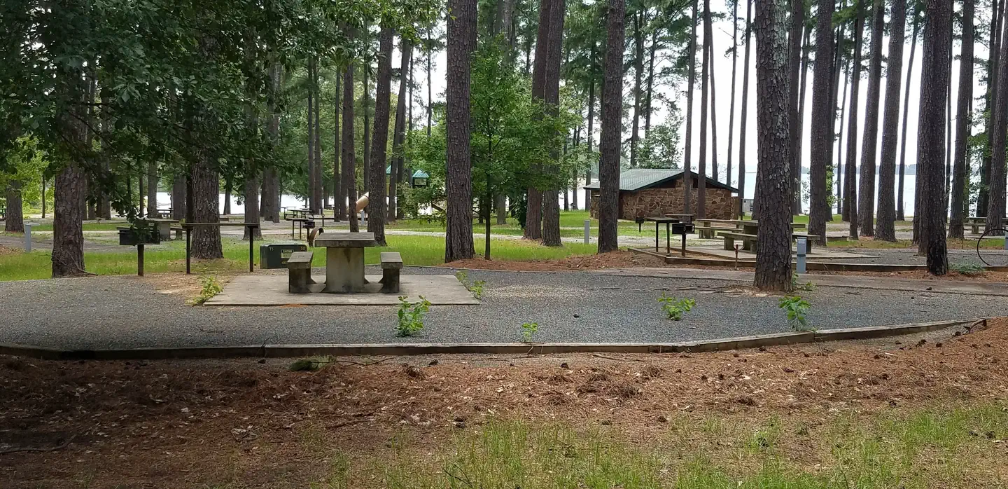PINEY POINT photo