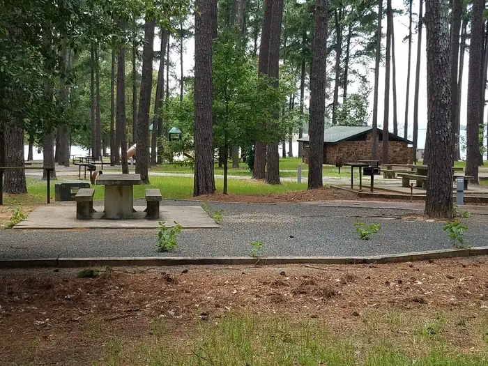 PINEY POINT photo 2