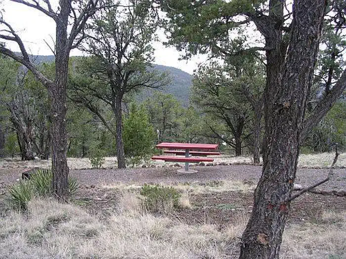 Pinon Campground (Quemado Lake) photo 5