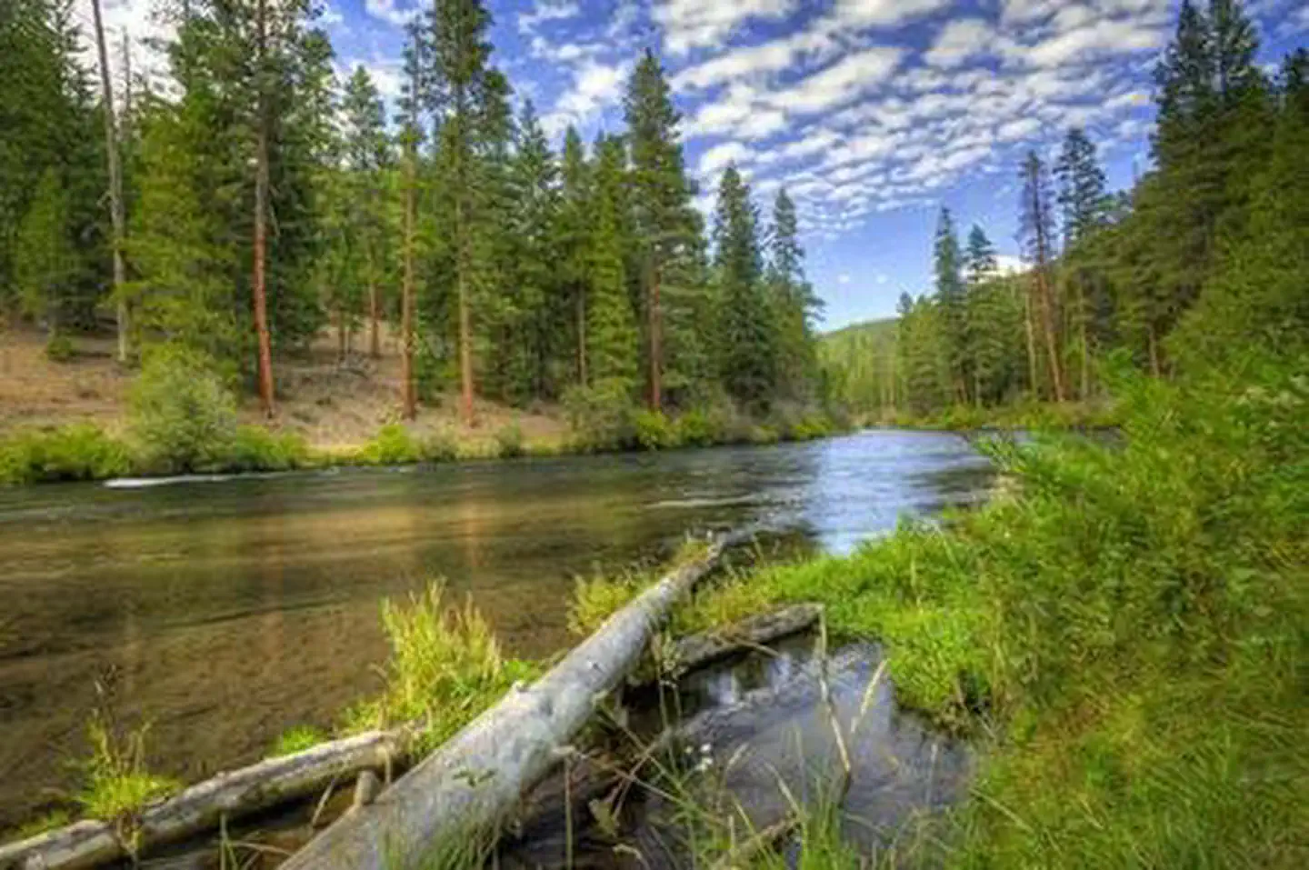 Pioneer Ford Campground photo
