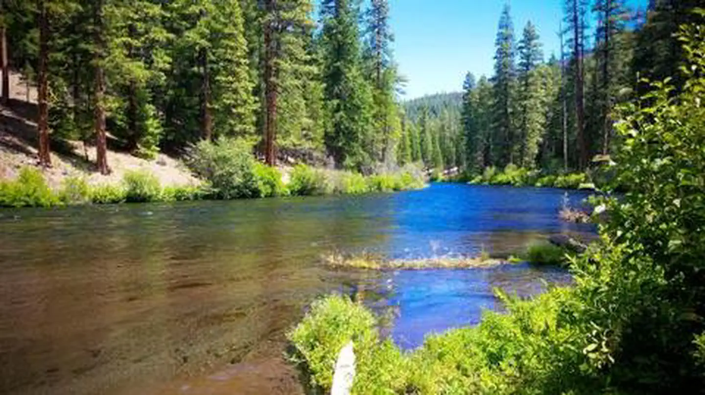 Pioneer Ford Campground photo 3