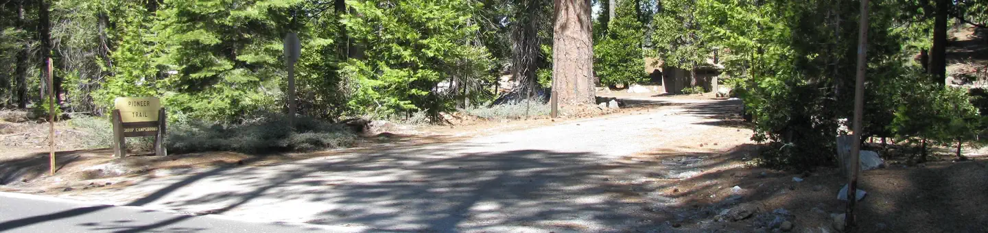 PIONEER TRAIL photo