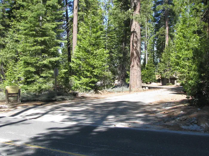 PIONEER TRAIL photo 2