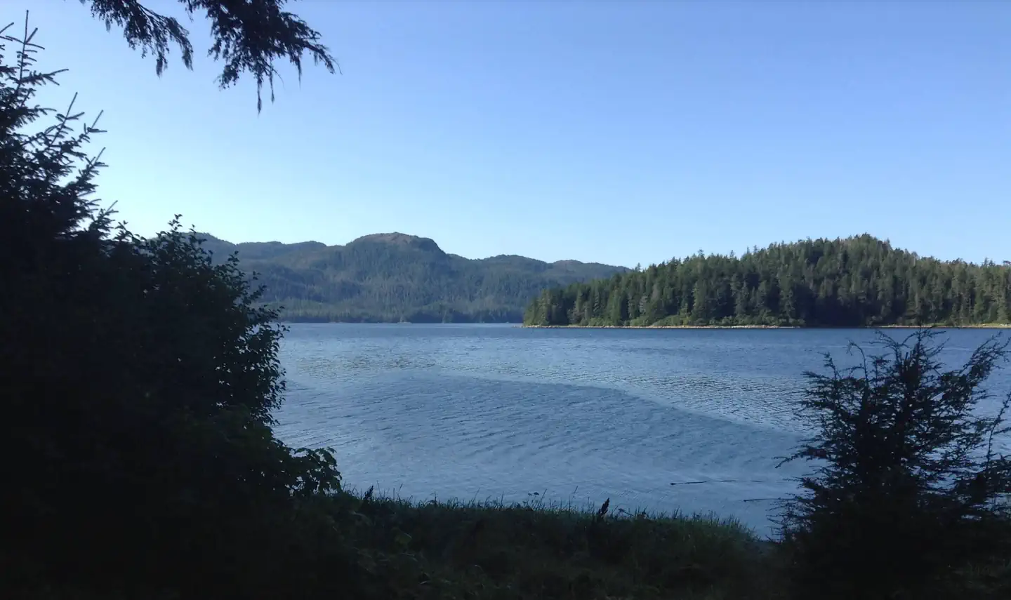PIPER ISLAND CABIN photo 3