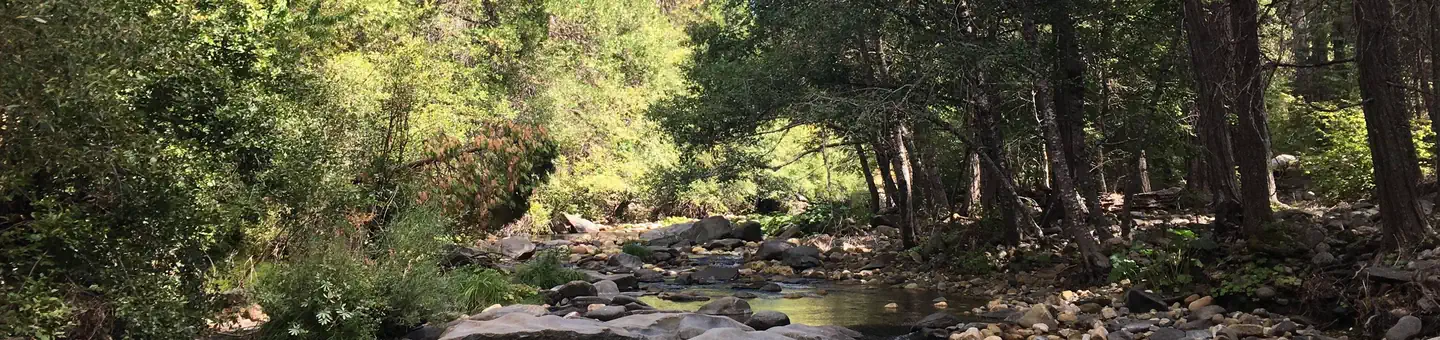 PIPI CAMPGROUND photo