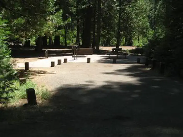 PIPI CAMPGROUND photo 2