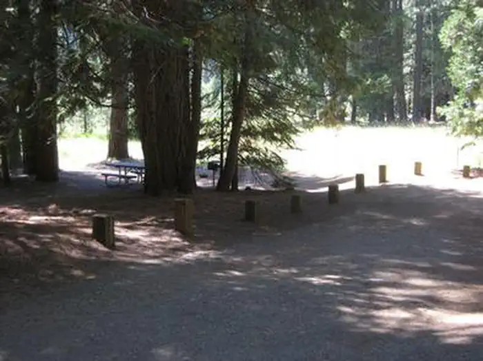 PIPI CAMPGROUND photo 5