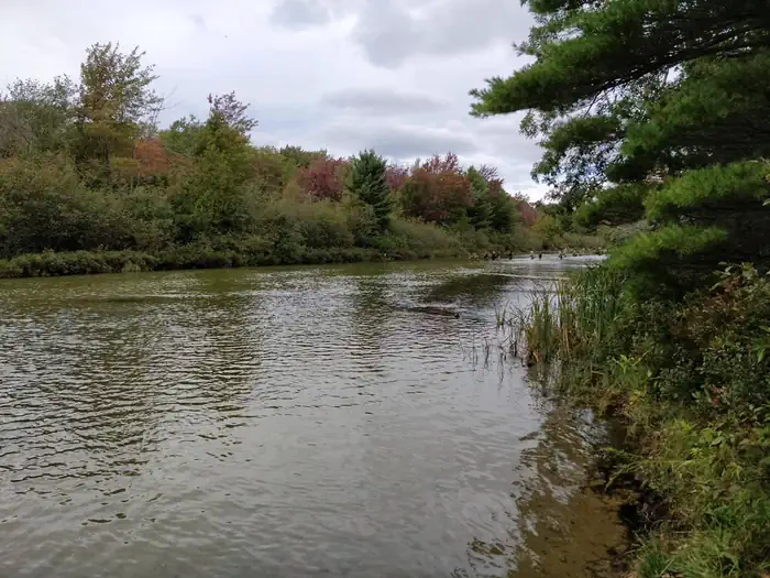 PLATTE RIVER CAMPGROUND photo 2