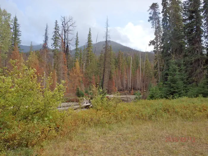 PLEASANT VALLEY CAMPGROUND photo 2