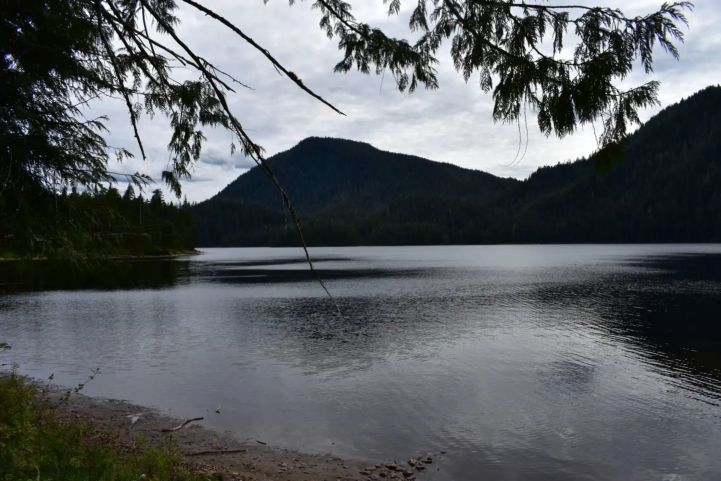 PLENTY CUTTHROAT CABIN photo 3