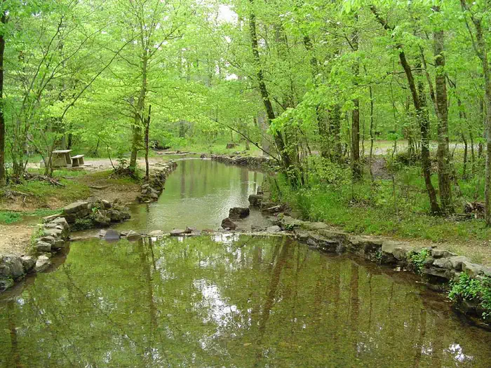 Pocket Campground photo 2