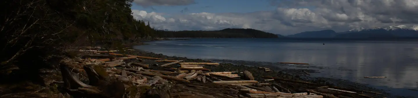 POINT AMARGURA CABIN photo