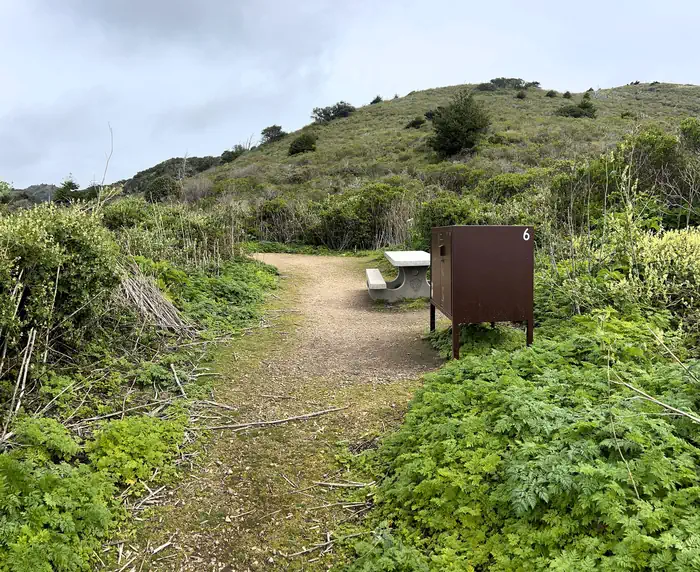 Point Reyes National Seashore Campground photo 5