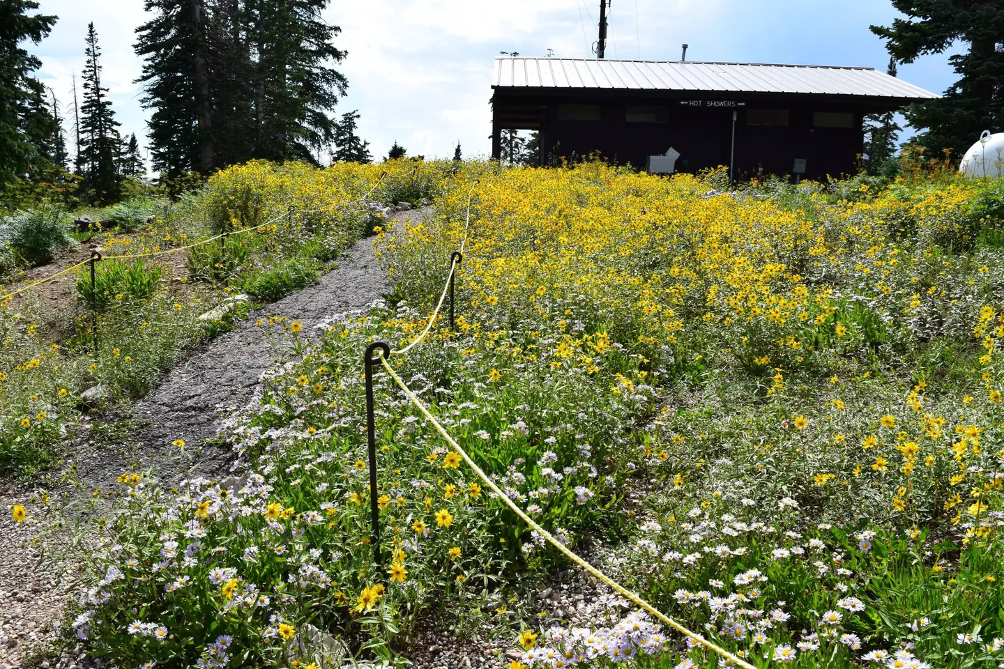 POINT SUPREME CAMPGROUND photo 5