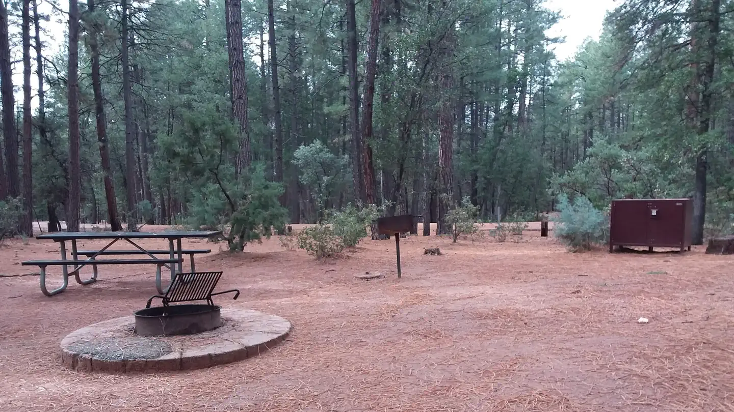 PONDEROSA (AZ) photo