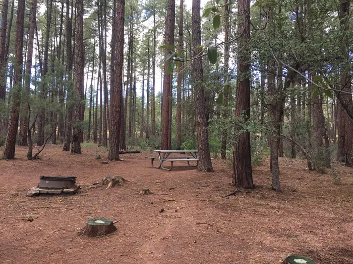 PONDEROSA (AZ) photo 3