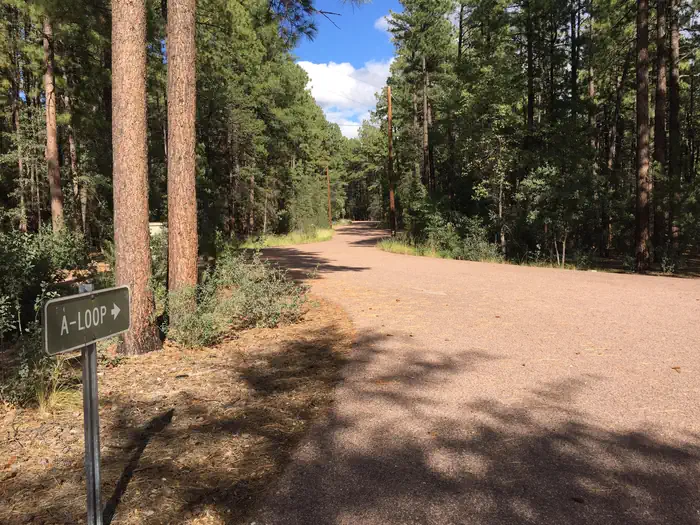 PONDEROSA (AZ) photo 4