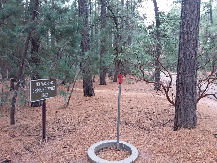 PONDEROSA (AZ) photo 5