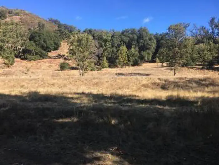 PONDEROSA CAMPGROUND photo 2