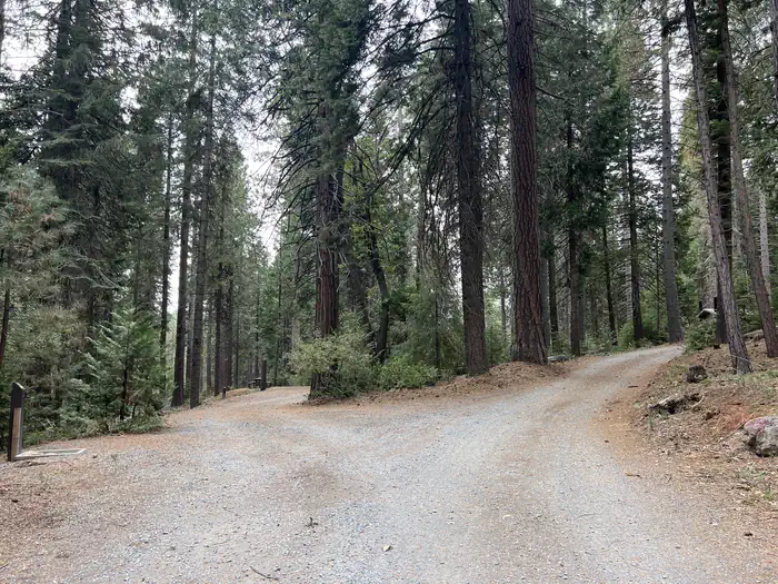 PONDEROSA COVE CAMPGROUND photo