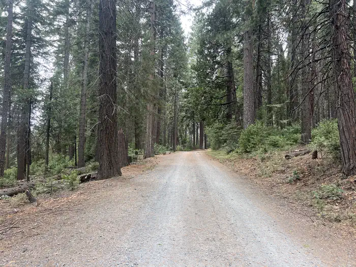 PONDEROSA COVE CAMPGROUND photo 3