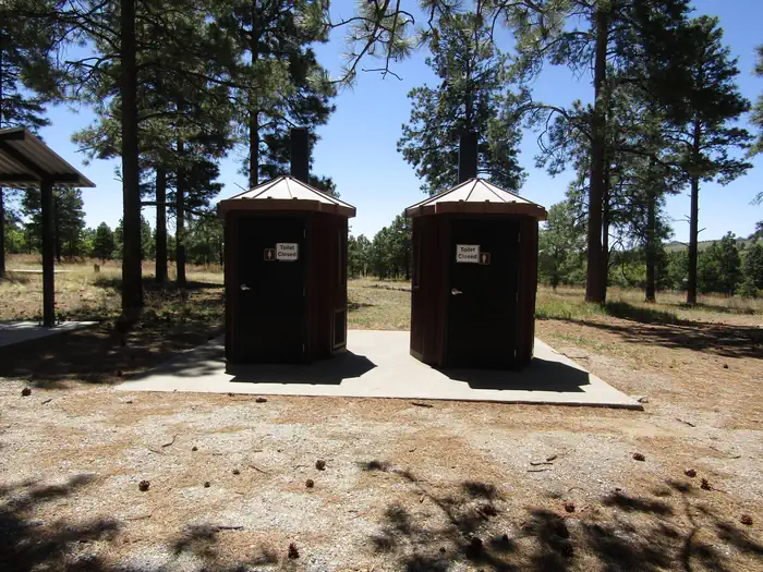Ponderosa Group Campground (NM) photo 4