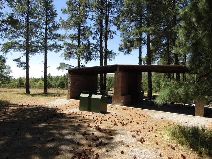Ponderosa Group Campground (NM) photo 5