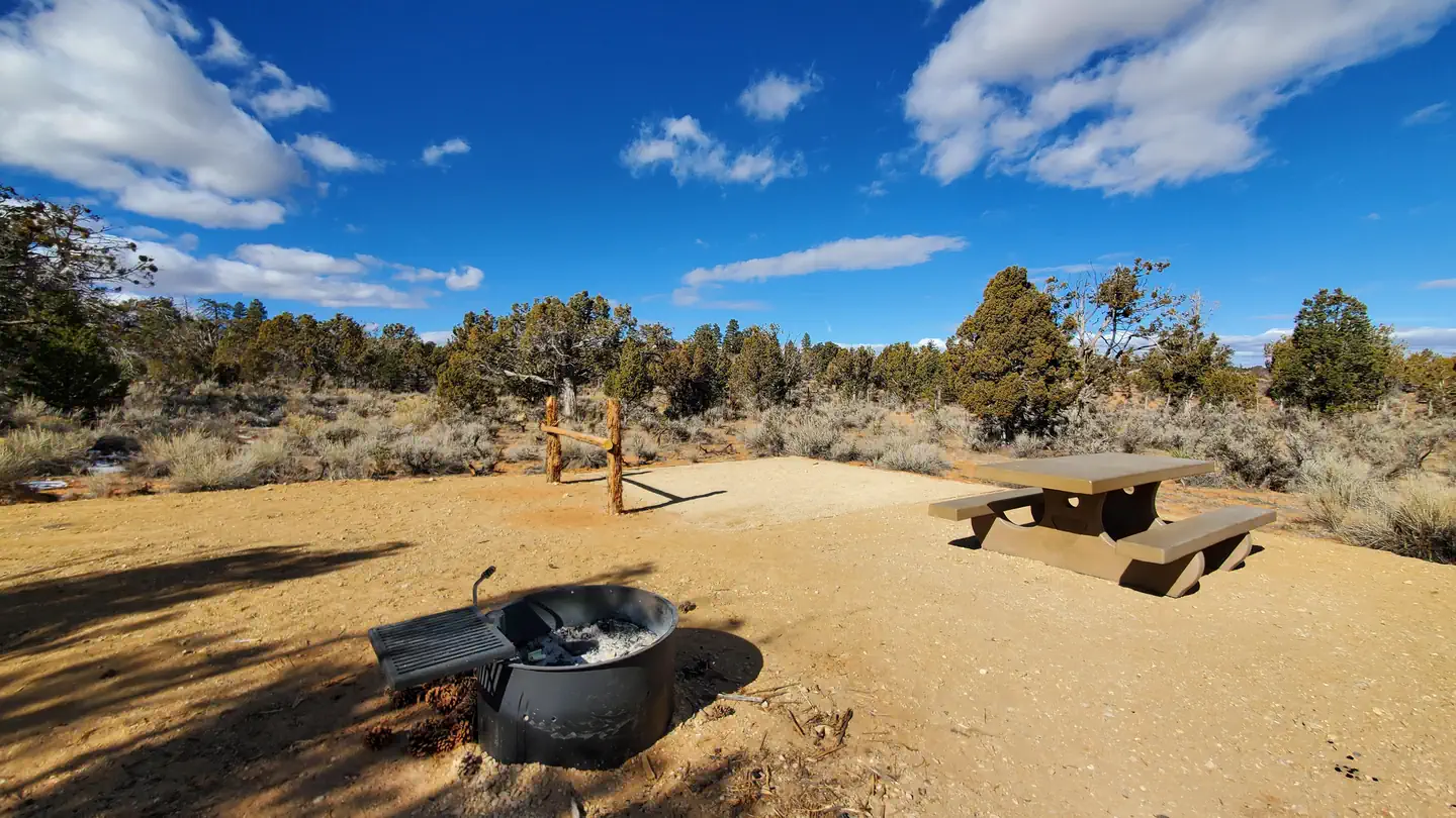 Ponderosa Grove Campground photo 2