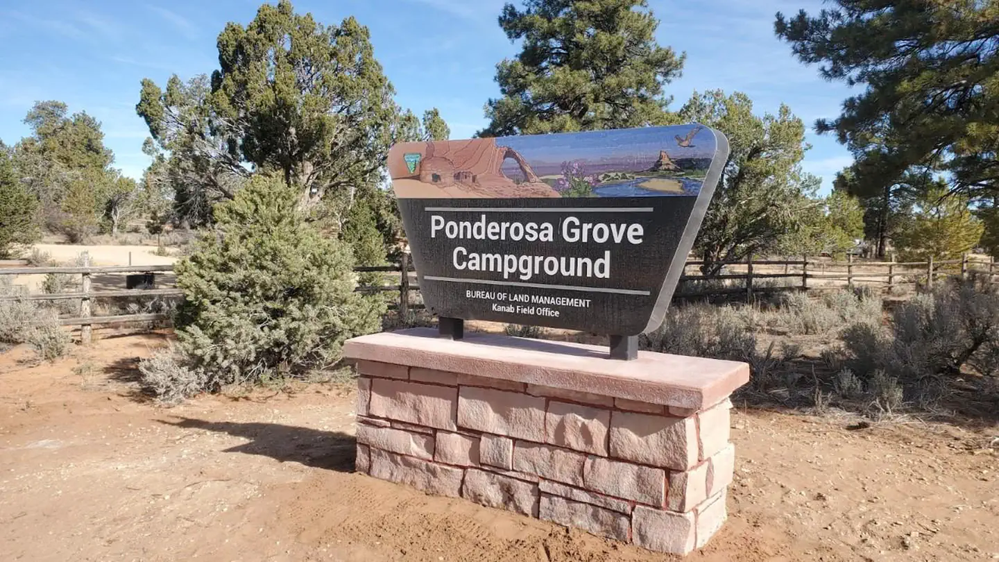 Ponderosa Grove Campground photo 3