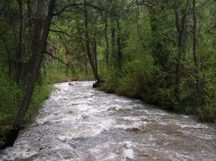 PONDEROSA PICNIC AREA photo 4
