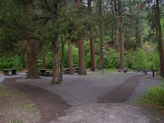 PONDEROSA PICNIC AREA photo 5