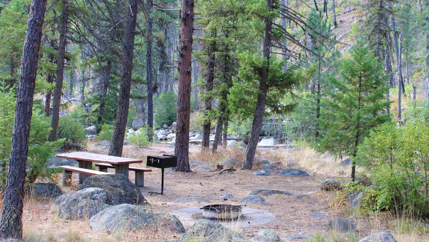 Ponderosa photo