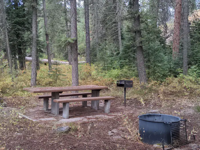 Ponderosa photo 2