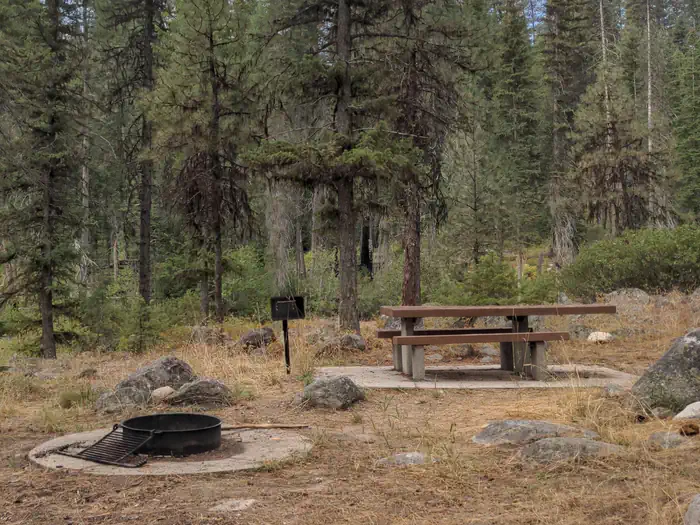 Ponderosa photo 3
