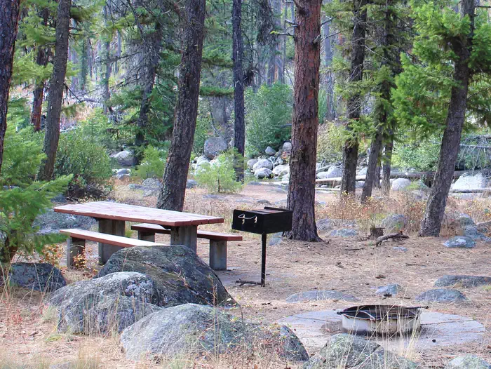 Ponderosa photo 4