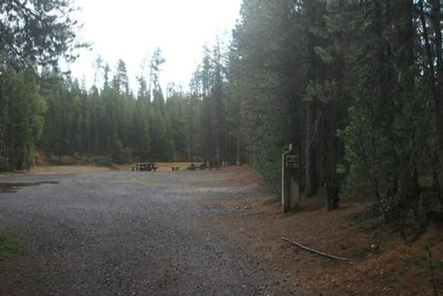 POOLE CREEK photo 4