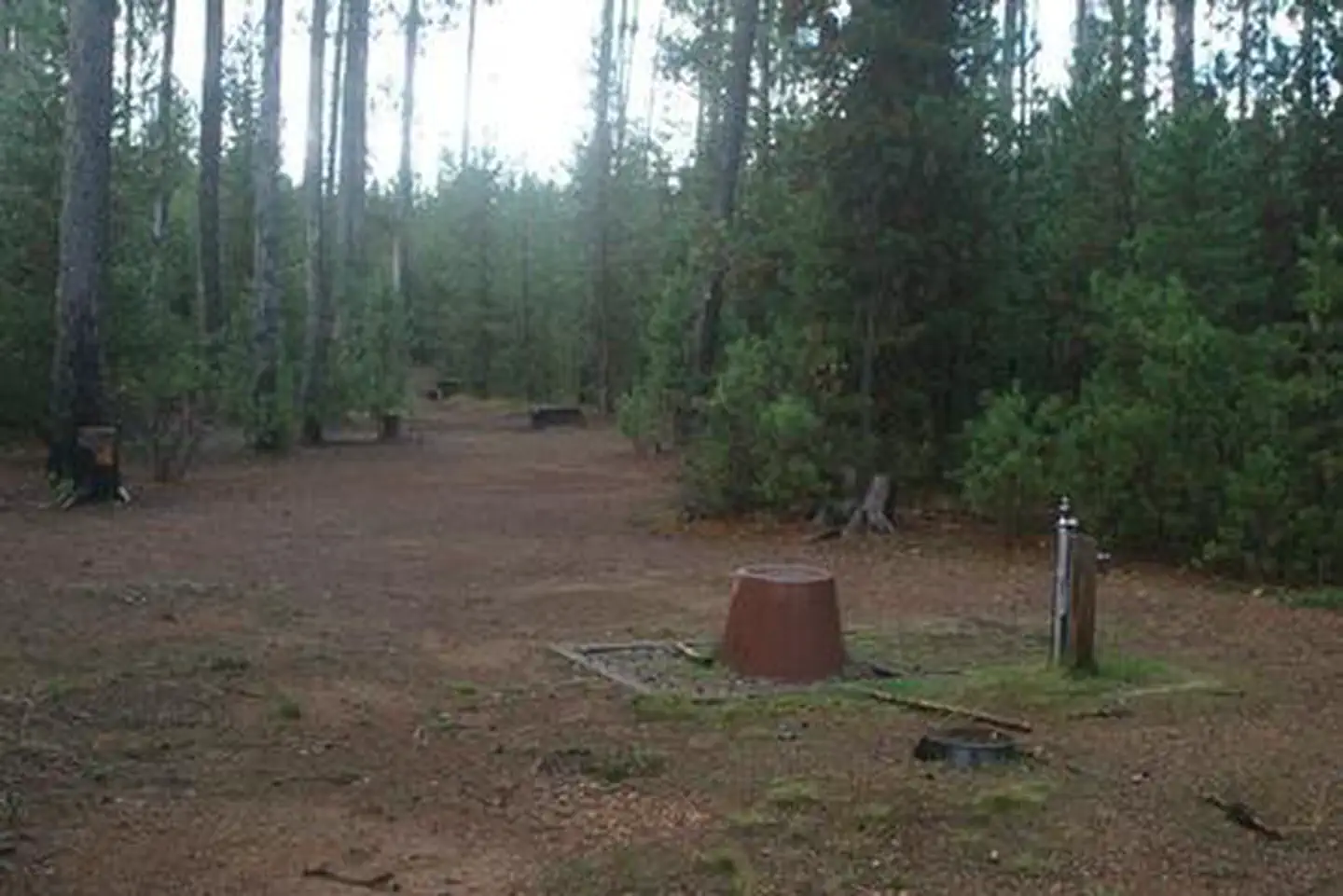 POOLE CREEK photo 5