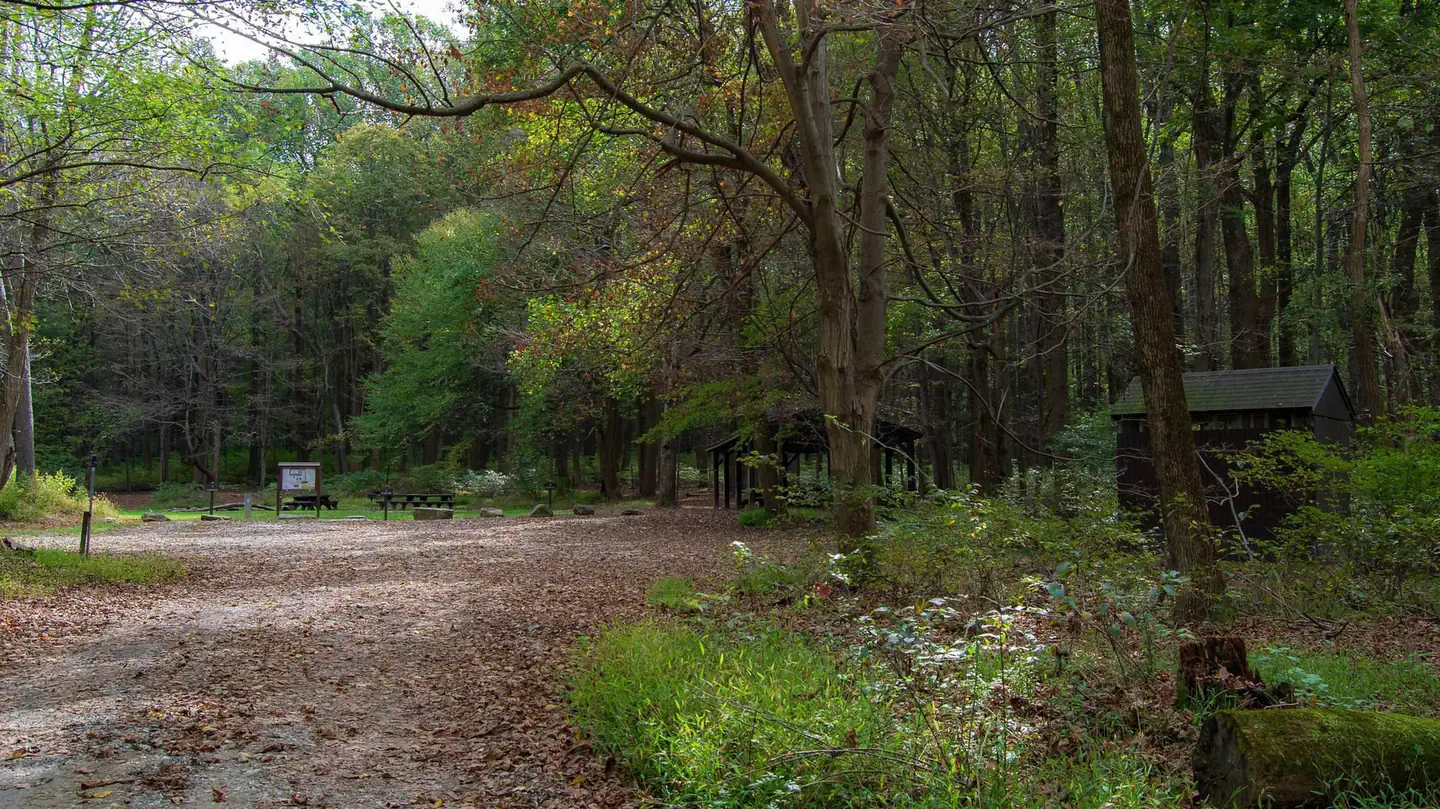 POPLAR GROVE YOUTH GROUP CAMPGROUND photo