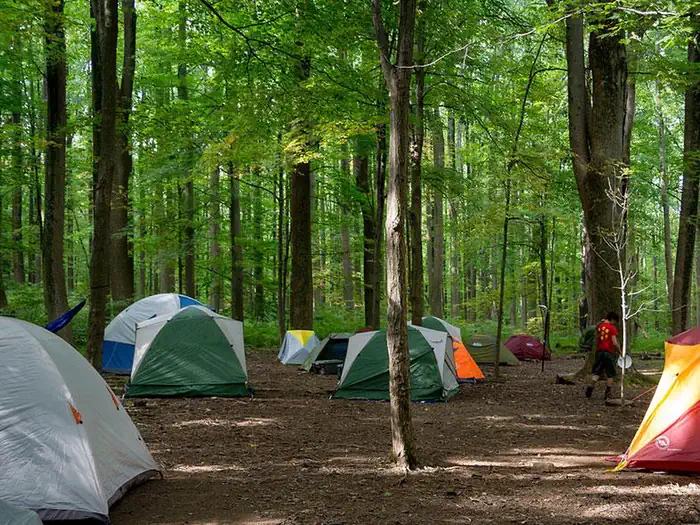 POPLAR GROVE YOUTH GROUP CAMPGROUND photo 4
