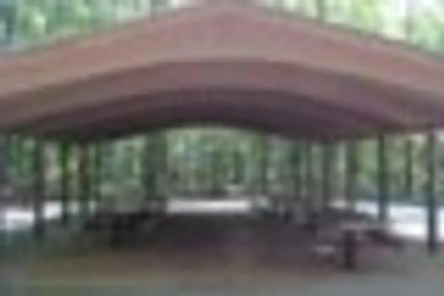 POPLAR SPRINGS photo