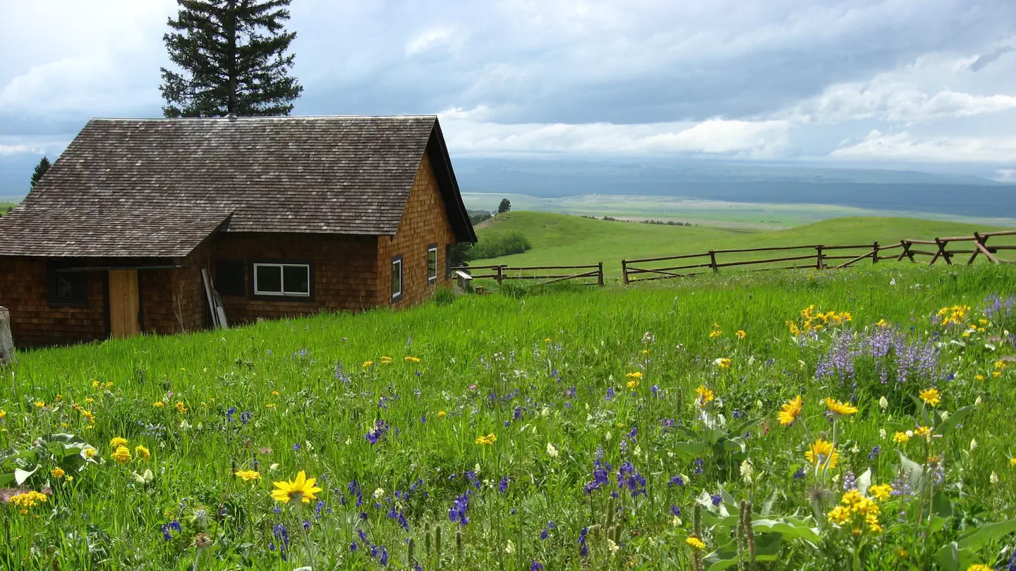 PORCUPINE CABIN photo