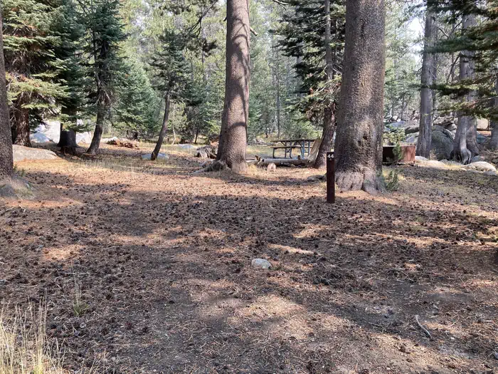 Porcupine Flat Campground photo 4