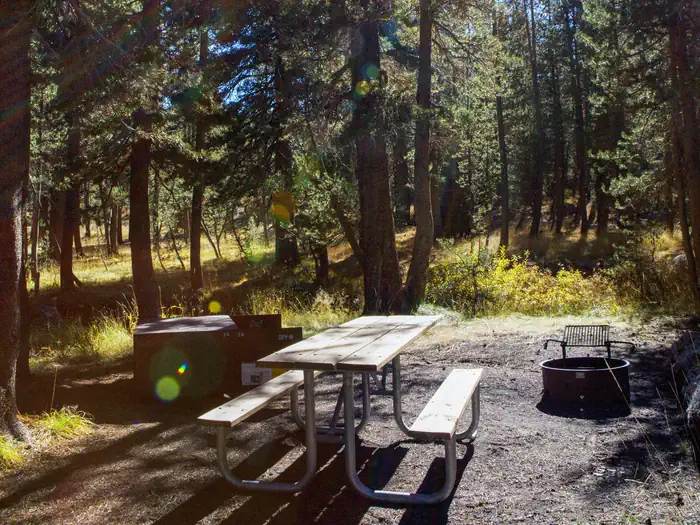 Porcupine Flat Campground photo 5