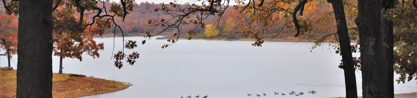 PORUM LANDING photo