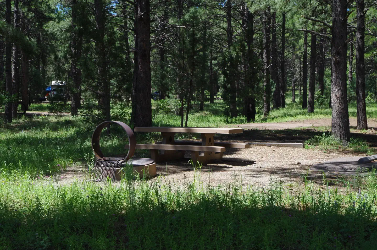 POTATO PATCH CAMPGROUND photo 3