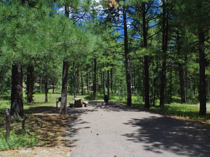 POTATO PATCH CAMPGROUND photo 5