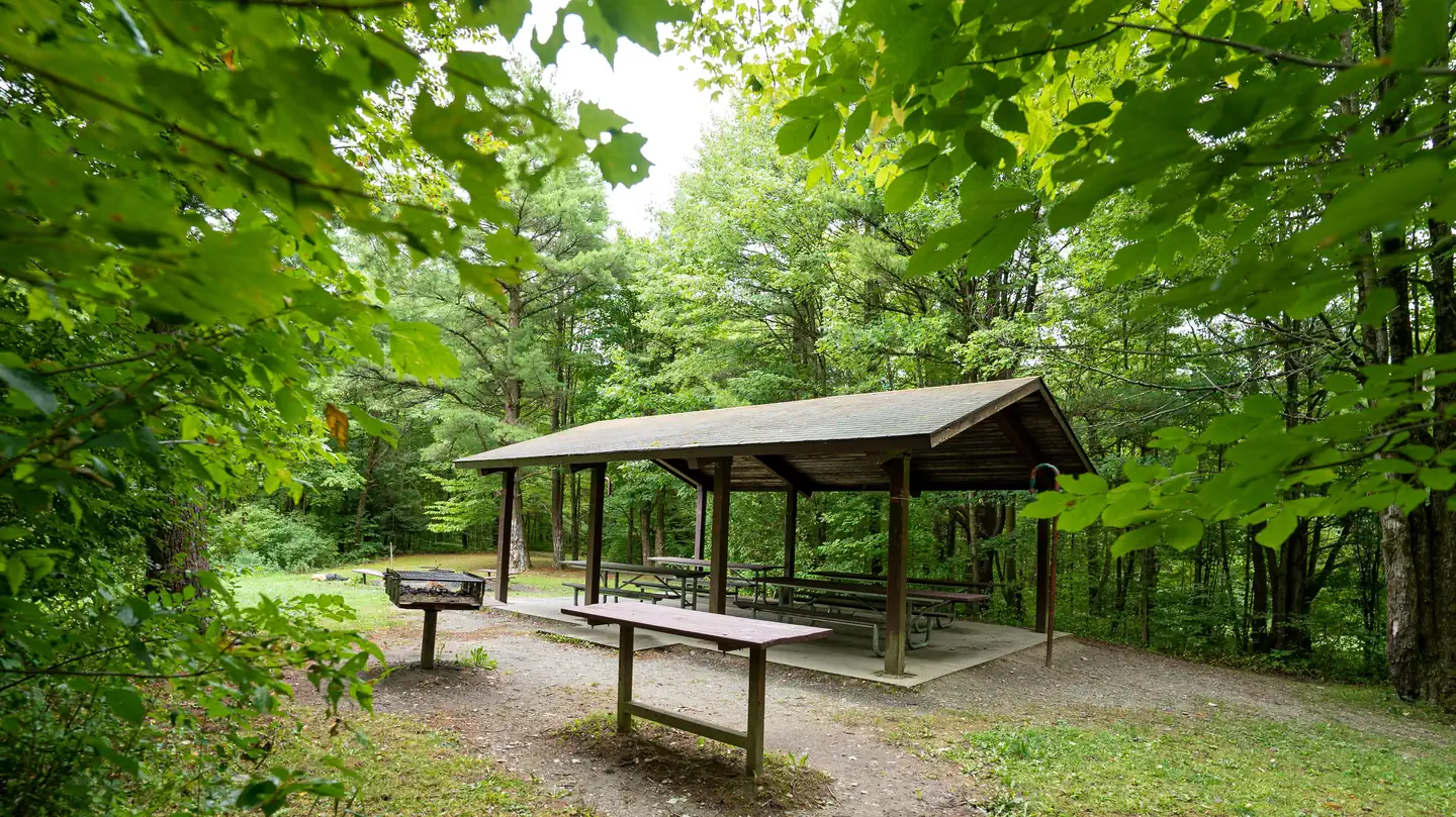 POTOMAC GROUP CAMPGROUND photo