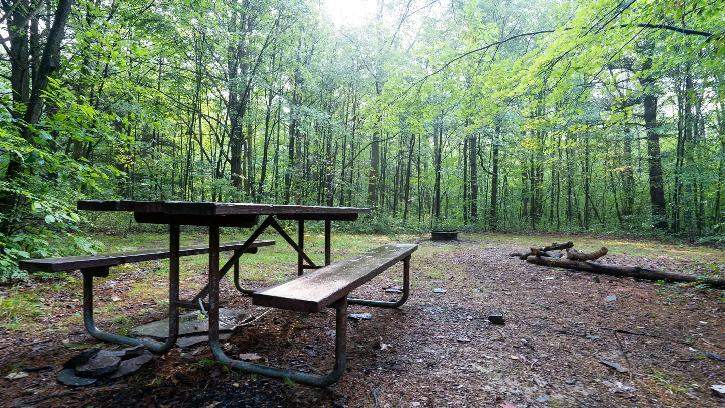 POTOMAC GROUP CAMPGROUND photo 5