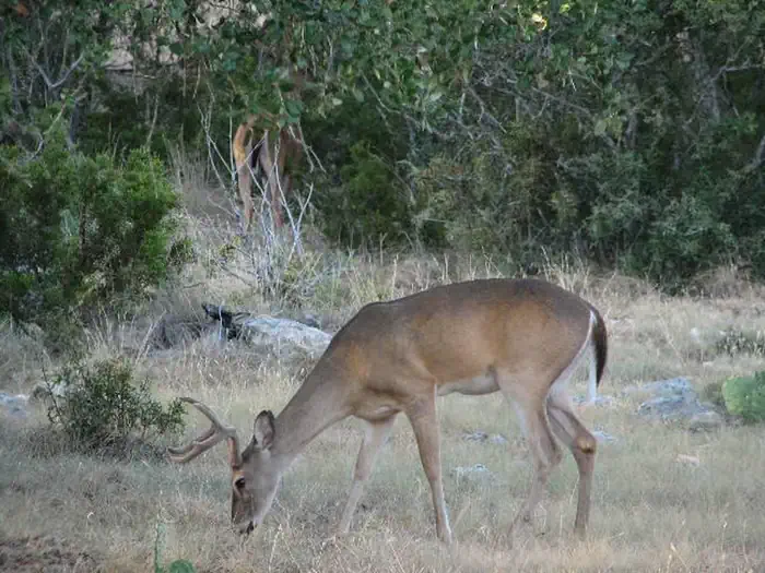 POTTERS CREEK PARK photo 3